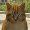 GATO
