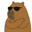 CAPY