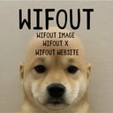WIFOUT