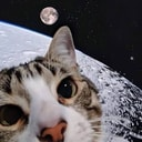 MOONCAT