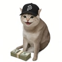 PAIDCAT