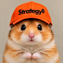 HAMSTR