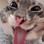 CASHBLEP
