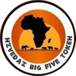 The Big Five Token