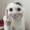 红尘飞