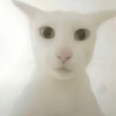 老吴