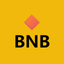 🔶 BNB