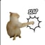 SLAP