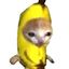 bananacat