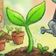seedcoin