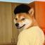 doggo
