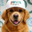 PAWS